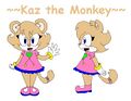 Kaz the Monkey