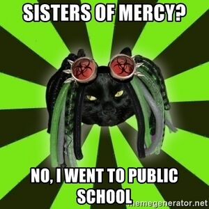 Sisters-of-mercy-no-i-went-to-public-school.jpg