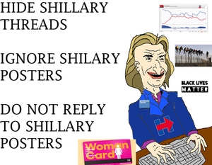 HillaryClintonHIDESHILL.png