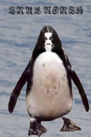 Immortalpenguin.jpg