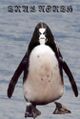 Most kvlt penguin evar!!1