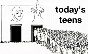 Todays teens Mushroom Wojak.jpg