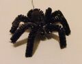 Pipe cleaner spiders... Actually, this is awesome.