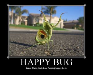 Happy bug demotivator.jpg