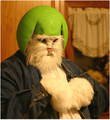 Limecat cosplay.