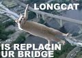 How city officials plan to replace the bridge.