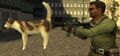 Silencer Cat get's used by terrorists as well