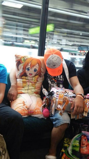 Anime-pillow-train.png