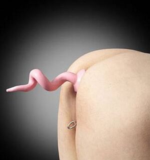 Pigtail buttplug.jpg