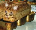 Cheat on your low-catb diet with catbread!