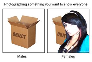 Photographing-something-you-want-to-show-everyone-males-females.jpg