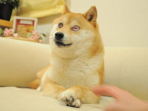 Walken the Doge.png