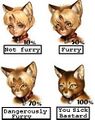 Furfag chart