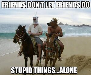 Horse Heads - Friends.jpg