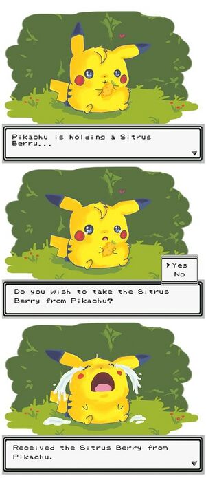 Sitrus Berry Pikachu.jpg