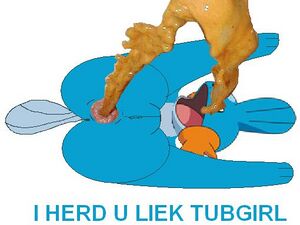 Mudkip Tubgirl.JPG