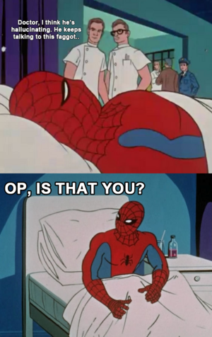 OP identified by Spidey.png