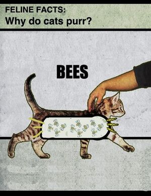 Bee - Why Cats Purr.jpg