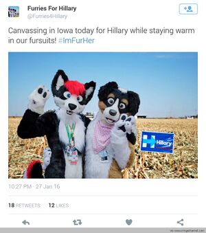 Hillaryfurfags.jpg