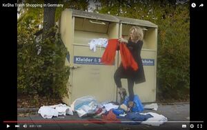 TrashShoppingInGermany.jpg