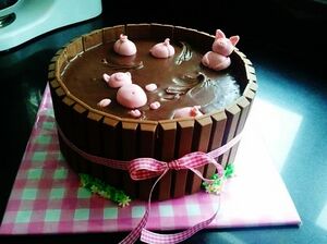 Chocolate Pig Pool.jpg