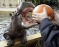 Dehippo having breakfast.