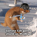 Gonna shank yo Mudkipz