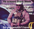 Sadly his wife divorced him, instead of recording shark week and going back to the kitchen