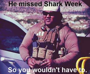 Sharkweek.png