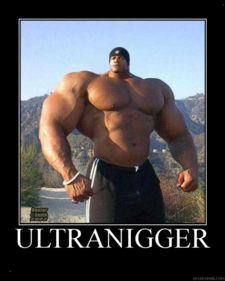 ULTRANIGGER WOULD APPRECIATE IT IF YOU WOULD REMOVE YOUR POINTING DEVICE FROM HIS GLORIOUS NIGGEROSITY