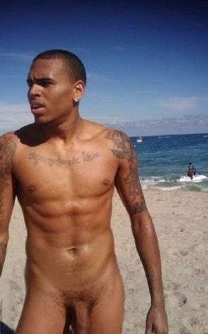 File:ChrisBrownsWilly.jpg