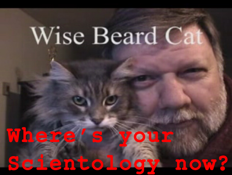 File:Wisebeardcat.jpg