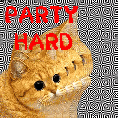File:Party hard starecat.gif