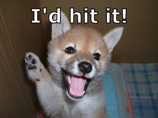 File:I'd hit it dog.jpg