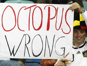 File:Octopus wrong.jpg