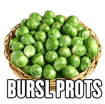 File:Bursl Prots.jpg