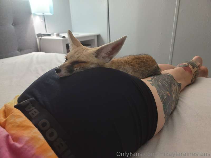 File:Saveafox onlyfans12.jpg