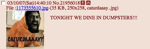 File:300 caturday.jpeg