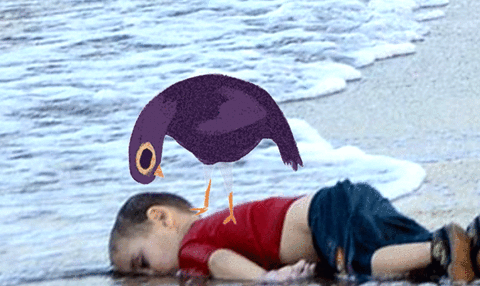 File:Trashdovebeachkid.gif
