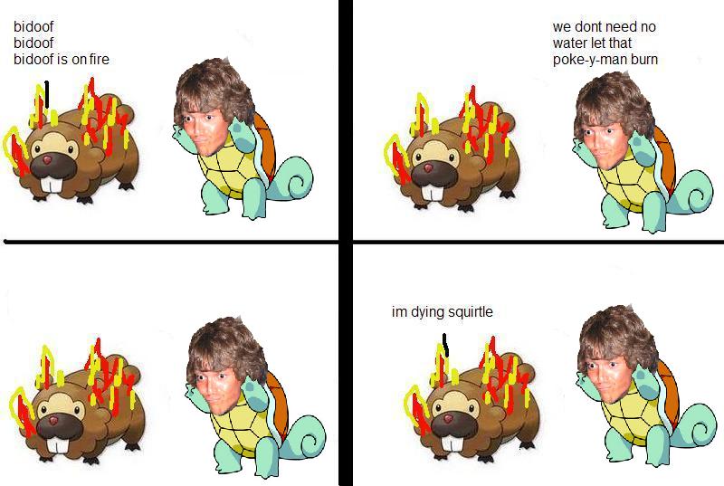 File:Squirtle turtle.jpg