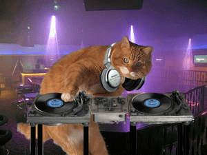 Dodge Cat DJ.gif