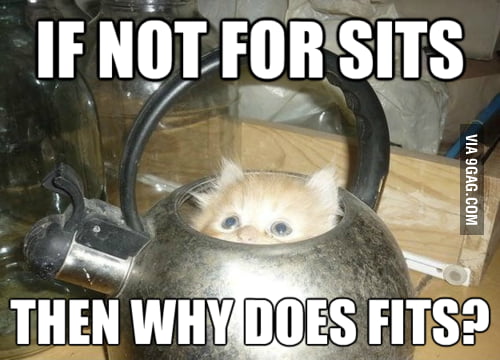 File:Cat in tea pot.jpg