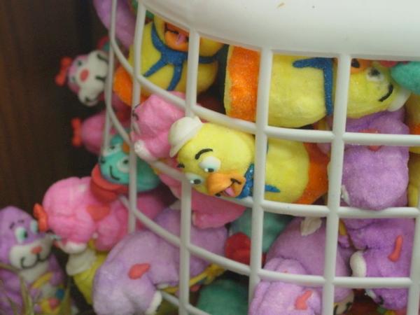 File:Peeps cages.jpg