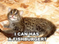 I can has a Fishburger?