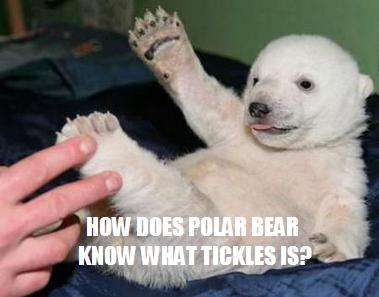 File:Bear tickle.jpeg