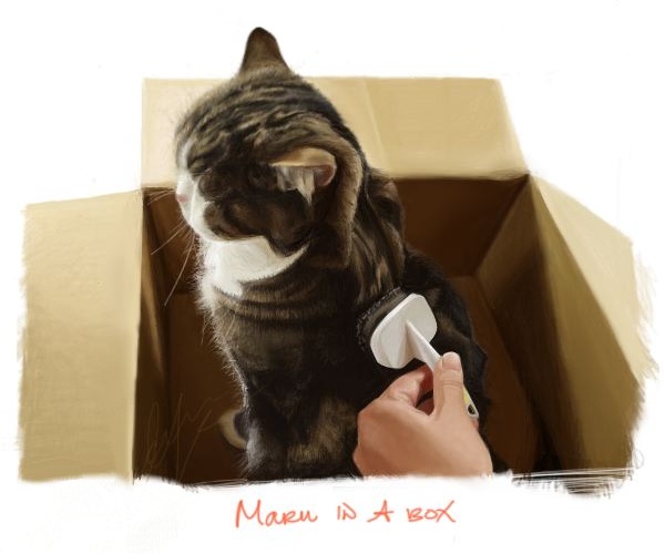 File:Maru - Art - 18.jpg