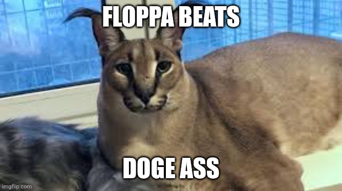 File:Floppa mogs Doge.jpeg
