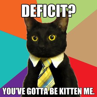 IRS cat knows when you don't pay your taxes