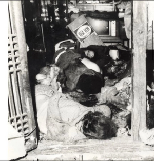 Woo Bum-Kon's suicide attack.png