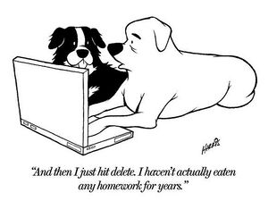 Dog deleted homework.jpg